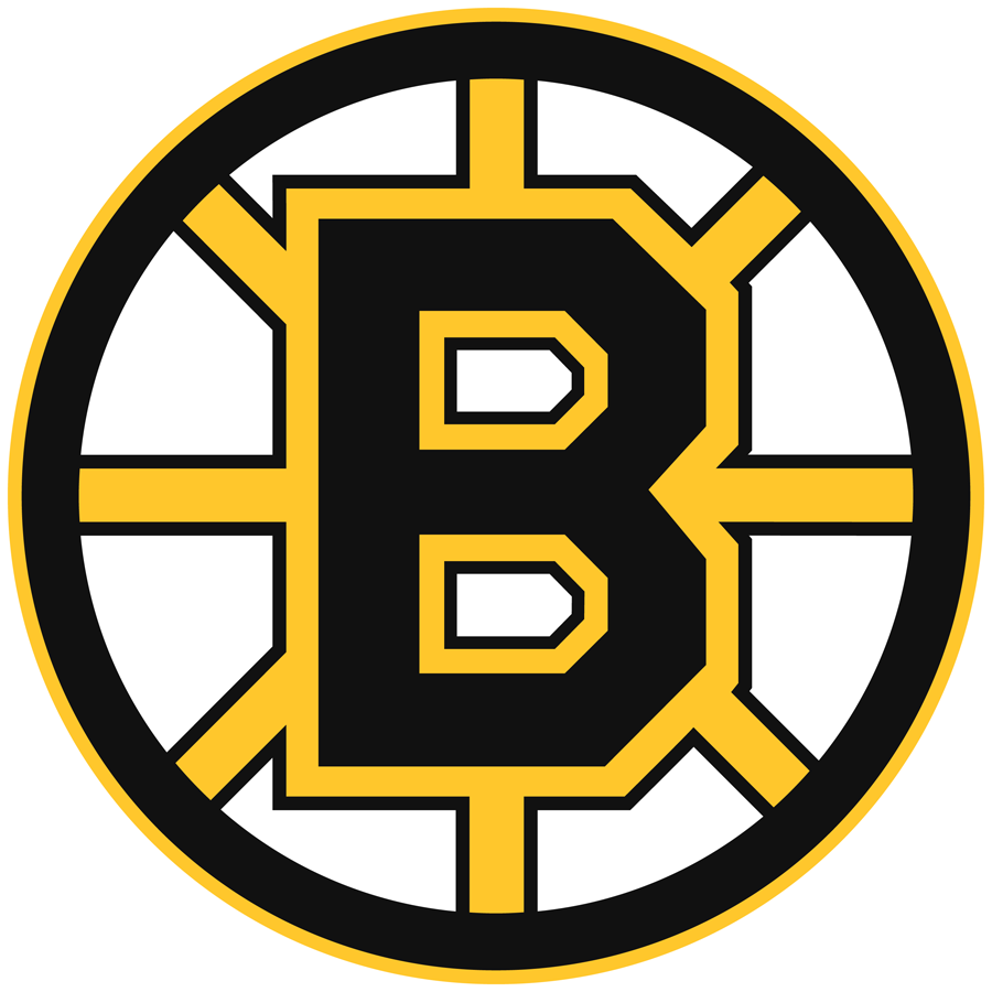 Boston Bruins 1995-2007 Primary Logo iron on transfers for clothing